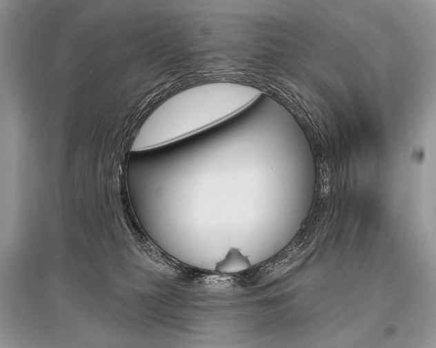 X0000096490279200801241217
