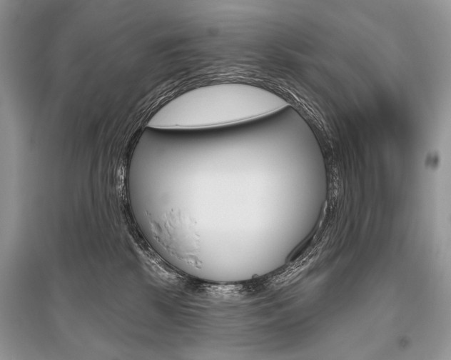 X0000096490281200801241218