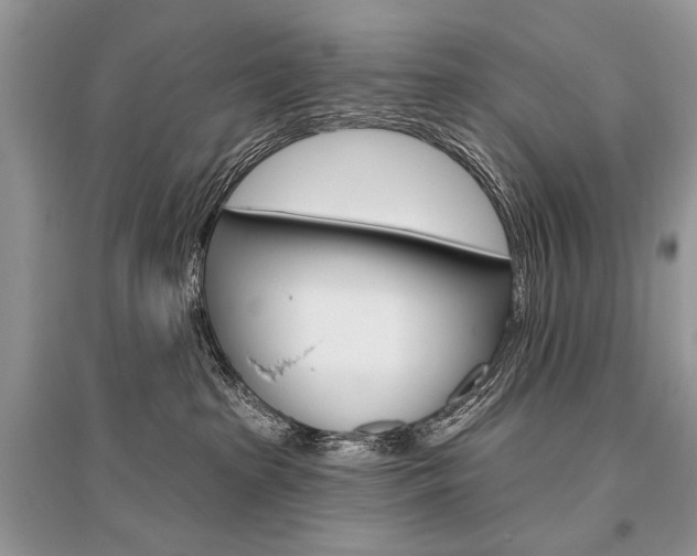 X0000096490285200801241218