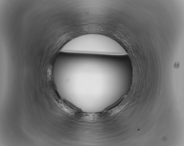 X0000096490288200801241218