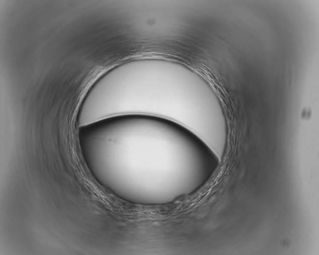 X0000096490289200801241217