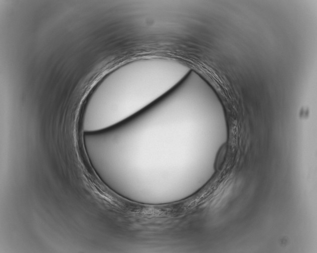 X0000096490290200801241217