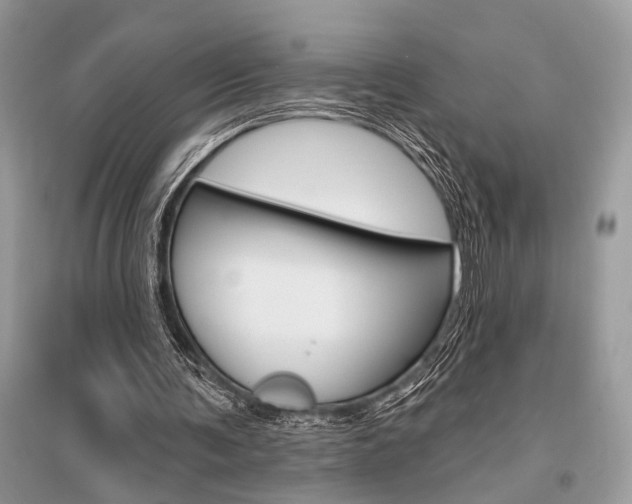 X0000096490291200801241217