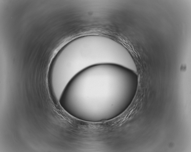 X0000096490292200801241217