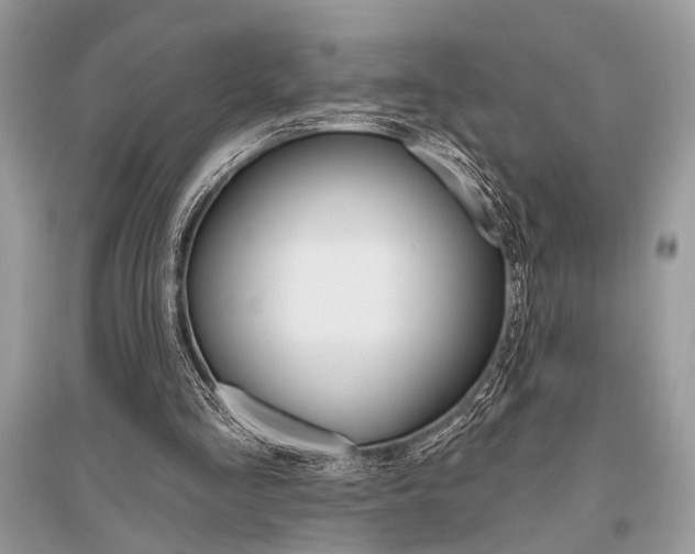 X0000096490293200801241217