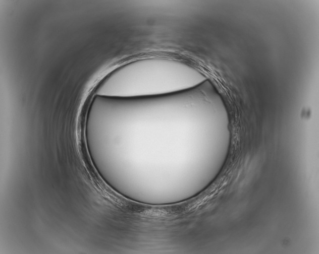 X0000096490294200801241217