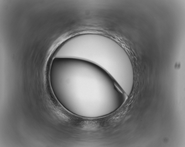 X0000096490296200801241217