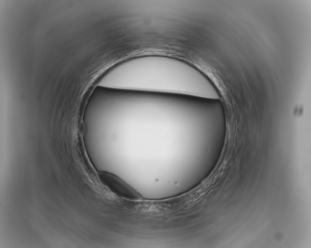 X0000096490297200801241217