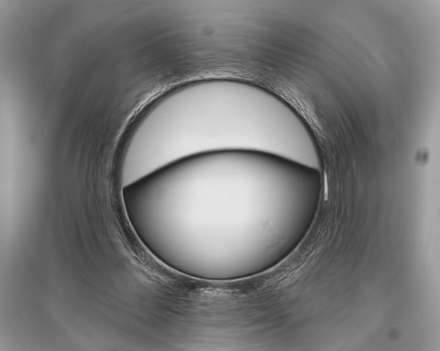 X0000096490300200801241217
