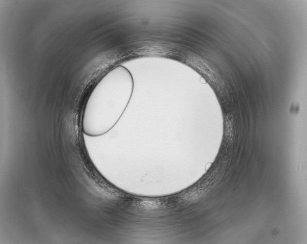 X0000096490302200801241217