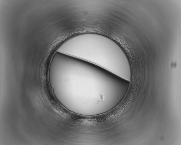 X0000096490303200801241217