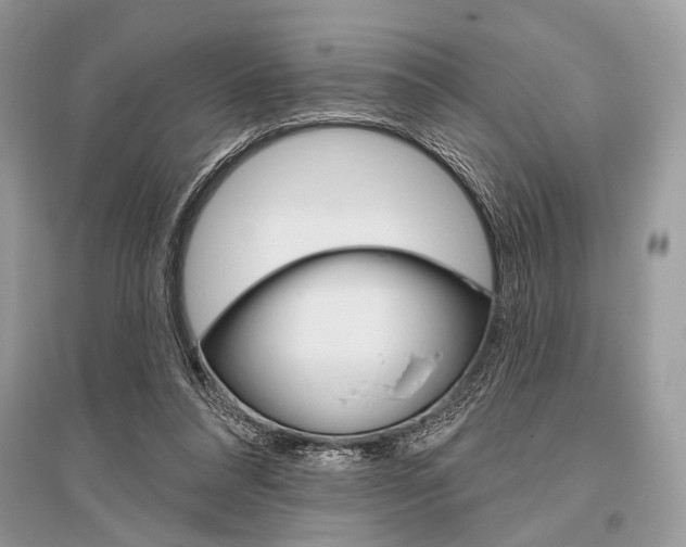 X0000096490304200801241217