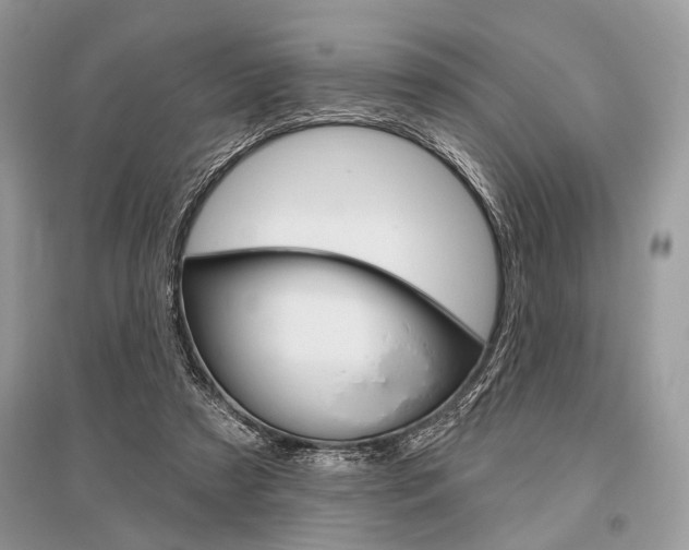 X0000096490305200801241217