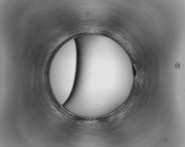 X0000096490306200801241217