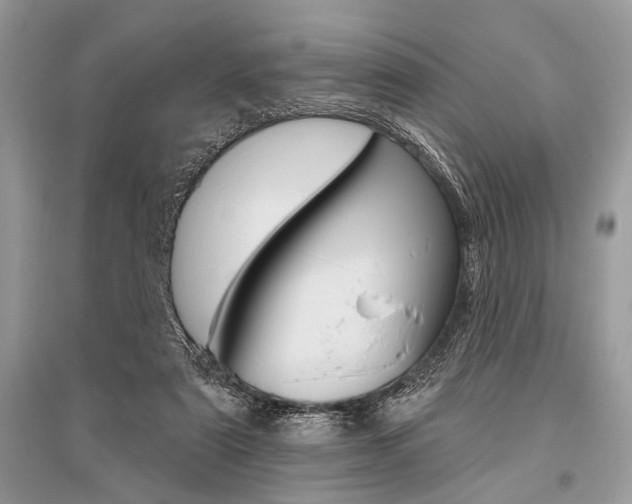 X0000096490307200801241217