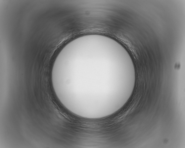 X0000096490308200801241217