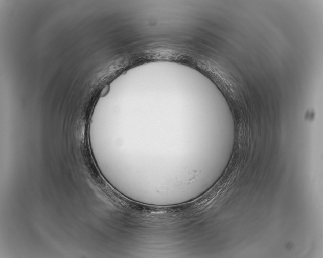 X0000096490310200801241217