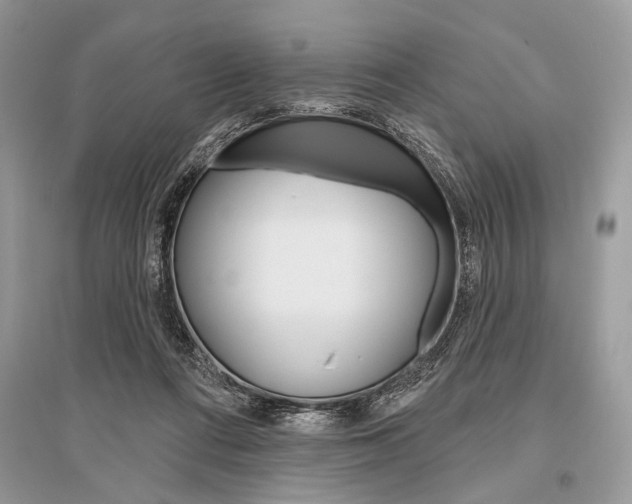 X0000096490312200801241217