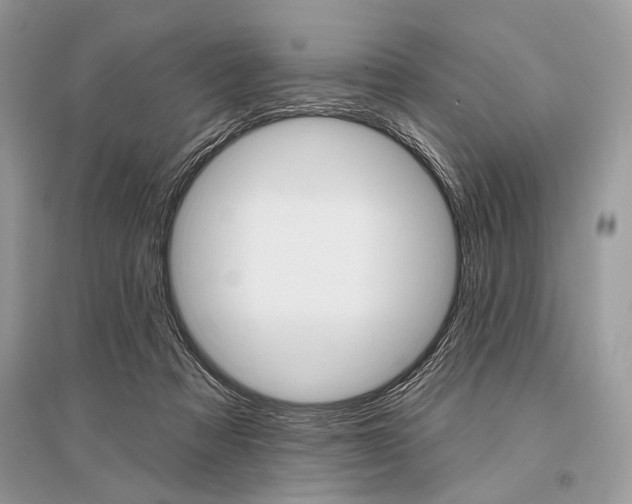 X0000096490313200801241217