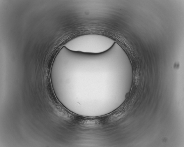 X0000096490314200801241217