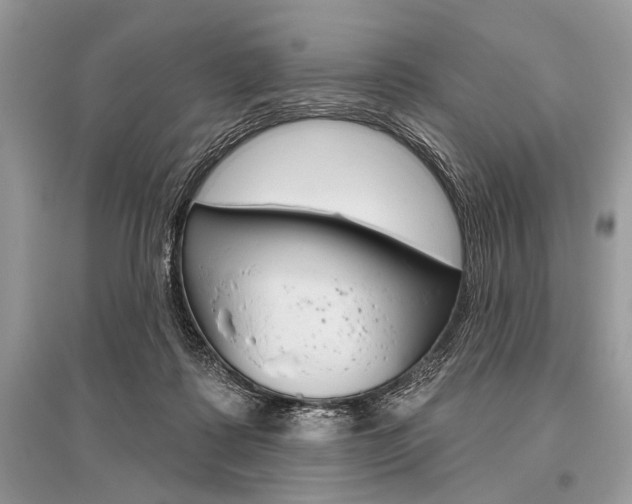 X0000096490315200801241217