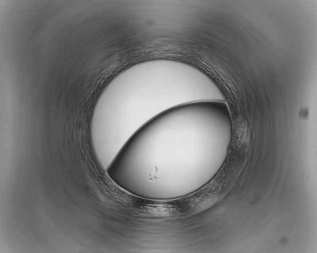 X0000096490316200801241217