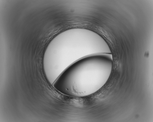 X0000096490317200801241217