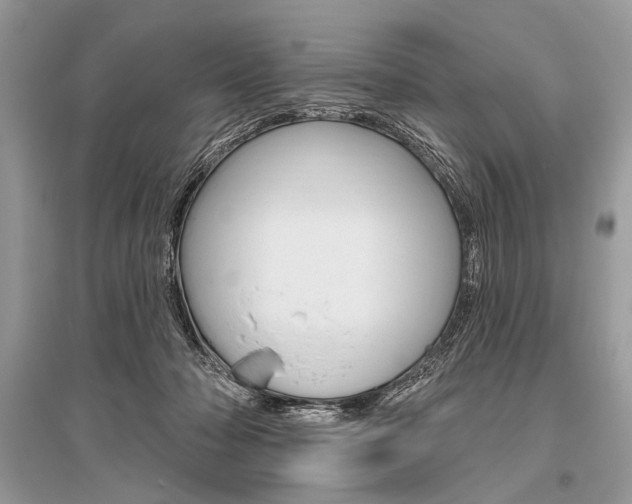 X0000096490318200801241217