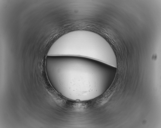 X0000096490319200801241217