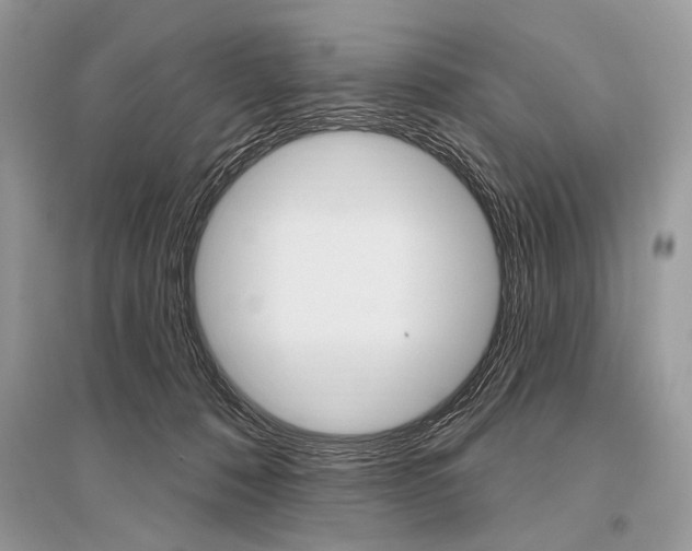 X0000096490320200801241217