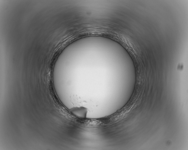 X0000096490321200801241216