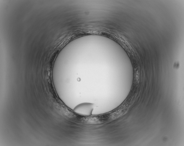 X0000096490322200801241216