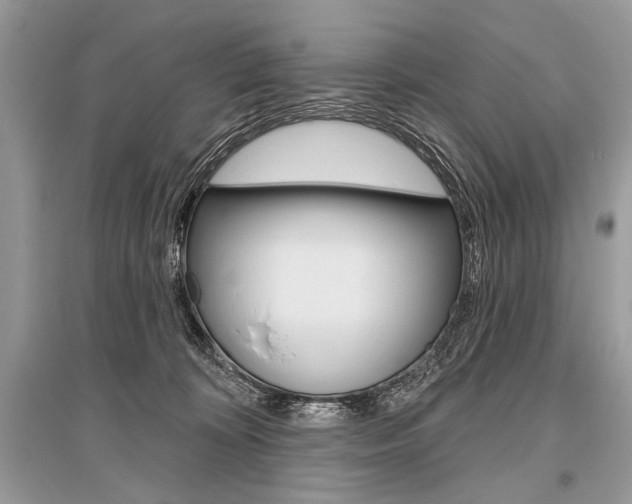 X0000096490324200801241216
