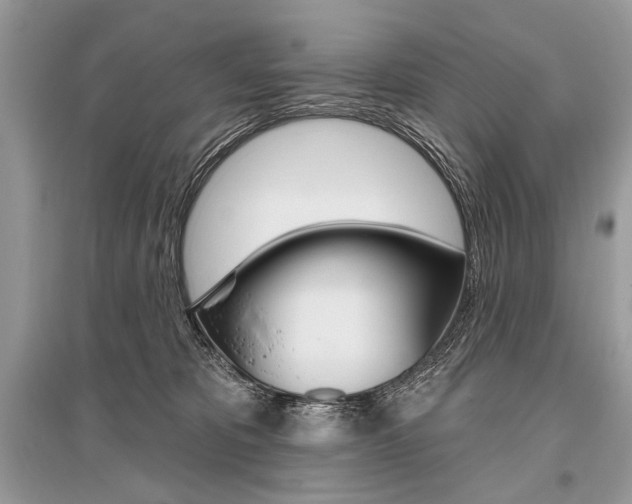 X0000096490325200801241216
