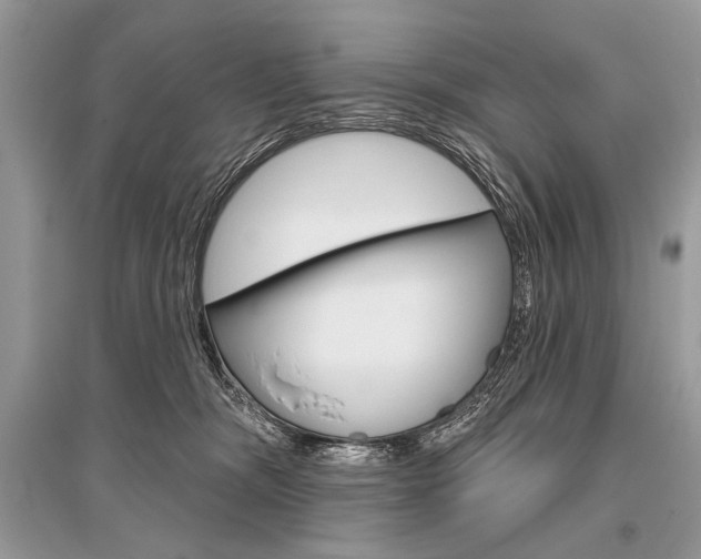 X0000096490326200801241216