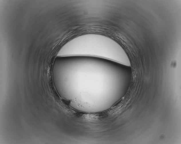 X0000096490327200801241216