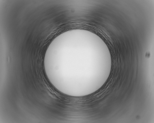 X0000096490328200801241216