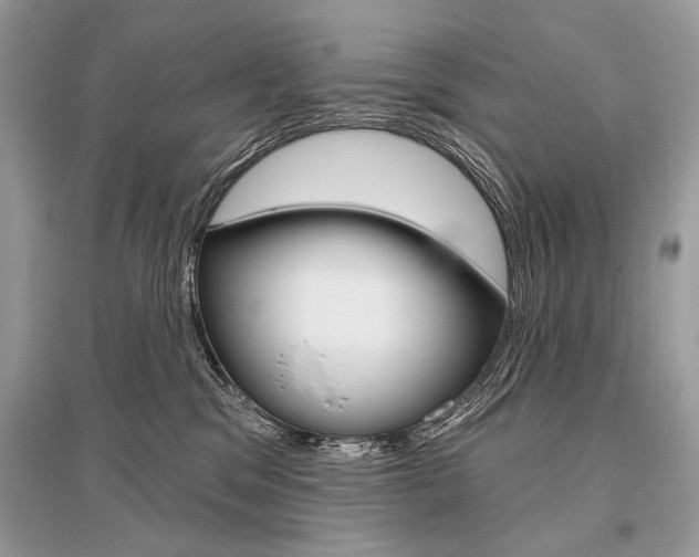 X0000096490329200801241216