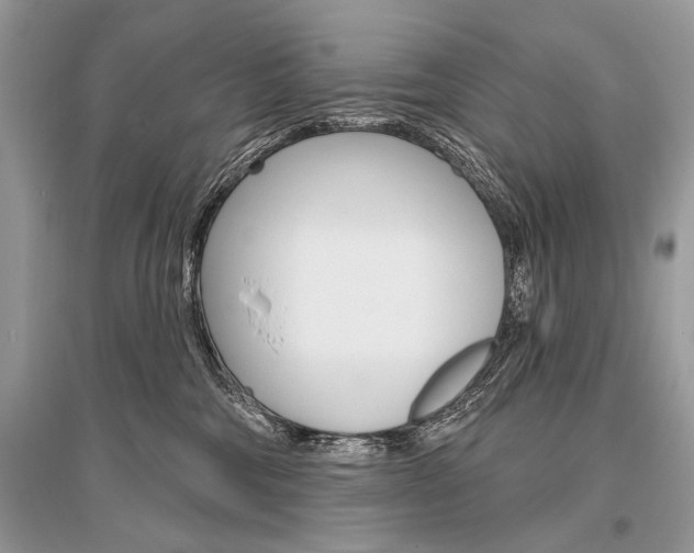 X0000096490330200801241216