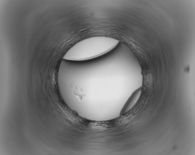 X0000096490331200801241216