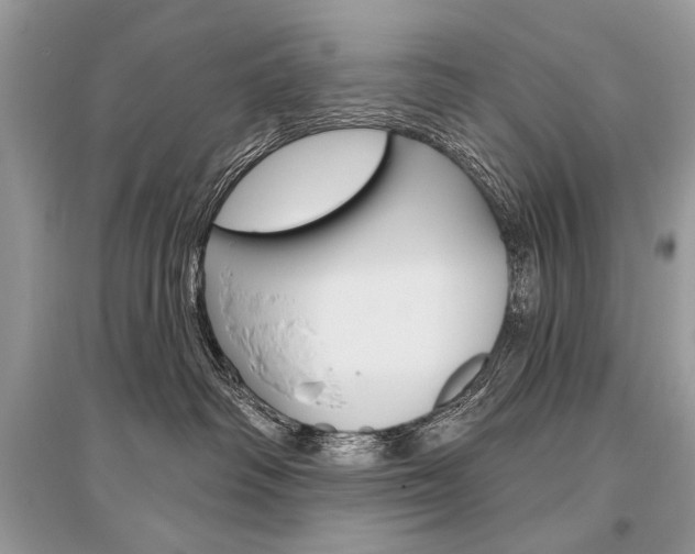 X0000096490334200801241216