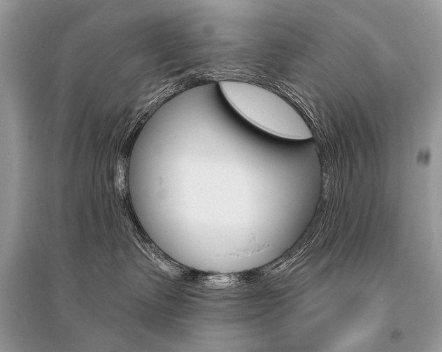 X0000096490335200801241216