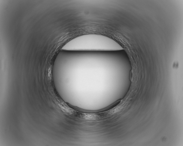 X0000096490336200801241216