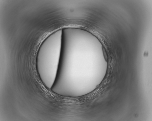 X0000096490337200801241215