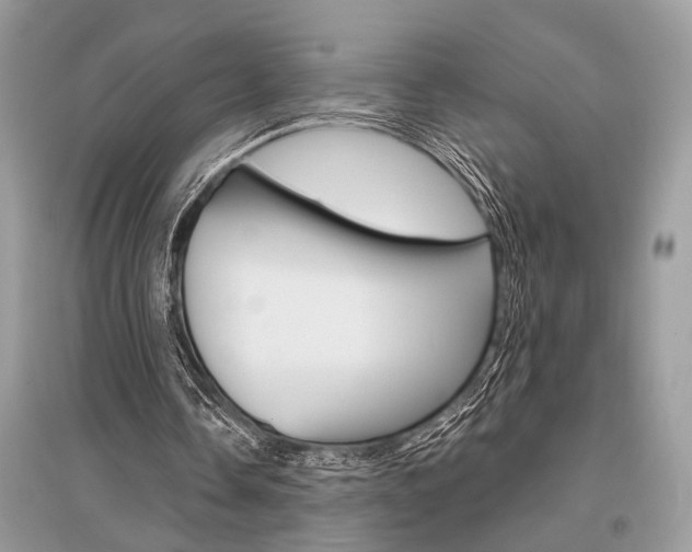 X0000096490338200801241215