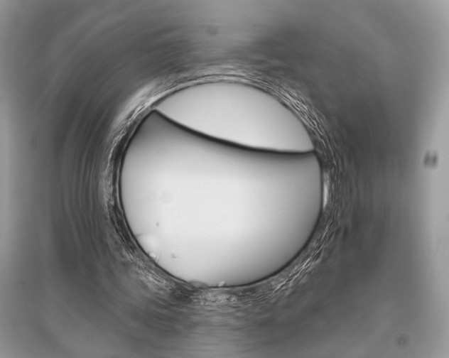 X0000096490339200801241215