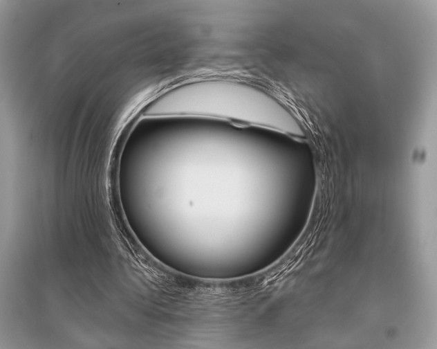 X0000096490340200801241215