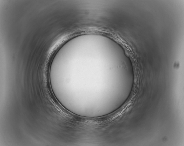 X0000096490341200801241215