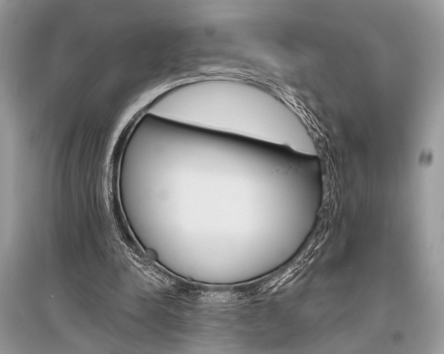 X0000096490342200801241215