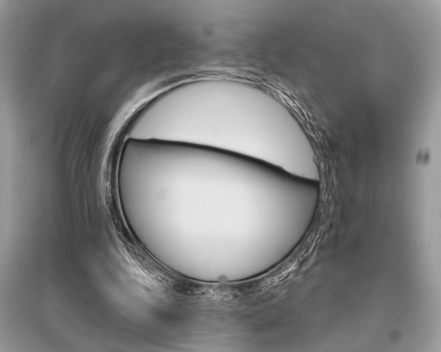 X0000096490343200801241215